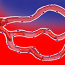 Capillary Constriction